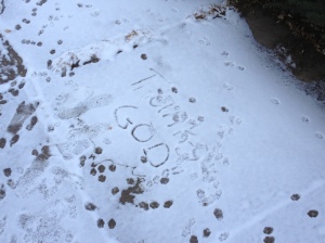 I found this in the snow in our back yard. My daughter wrote it.