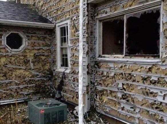 Looks like maybe this house in Blair saw some hail last night...you know, just a little.