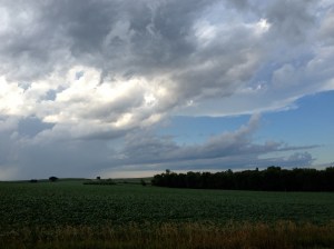Summer view of the area around the college where I work.