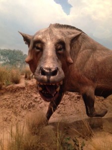 This is how I sometimes feel when visiting relatives.