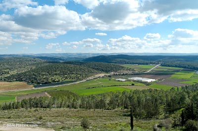The Elah Valley, where the story took place.
